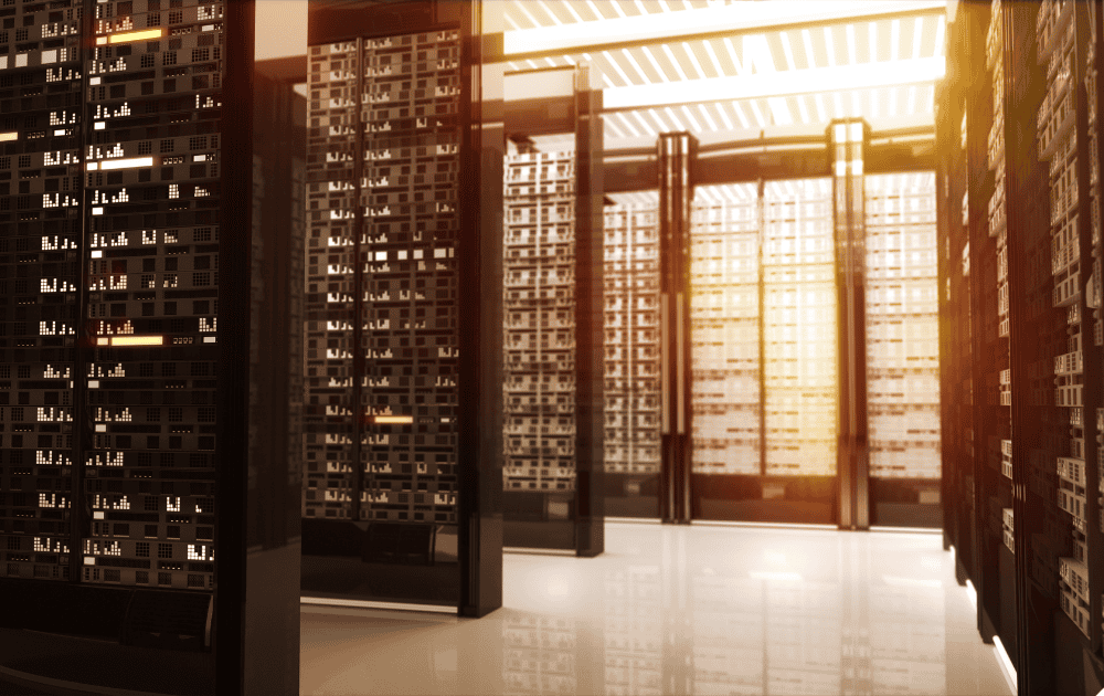 Multiprotocol Label Switching in IT Networks 