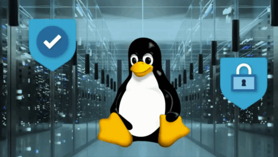 Struggling with Linux? Get Expert Server Support Now