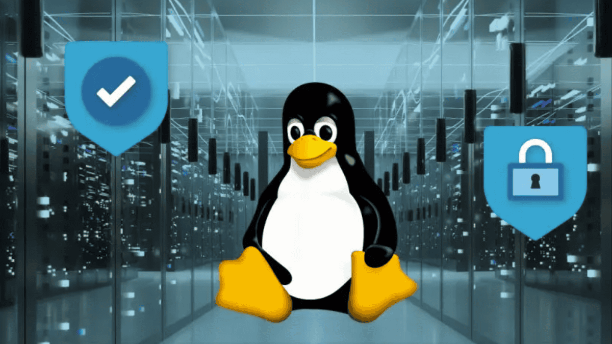 Struggling with Linux? Get Expert Server Support Now