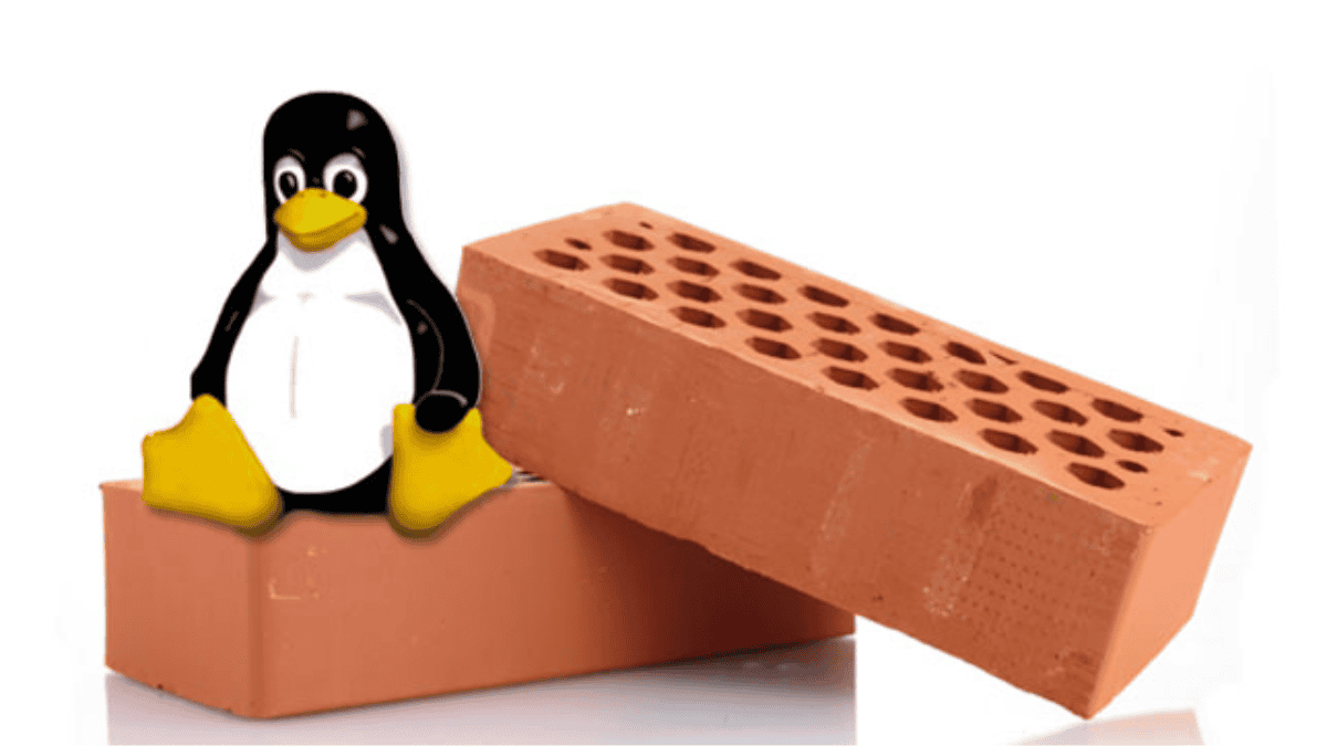 linux server support